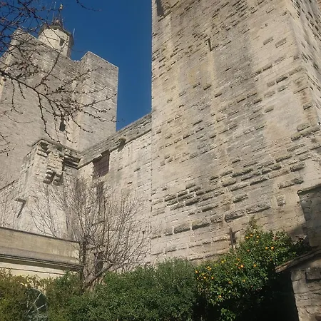Au Centre Historique D'uzes * 于泽斯